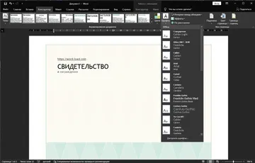 Microsoft Word 2019