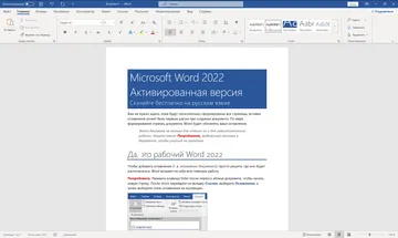 Microsoft Word 2022