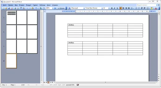 Word 2003
