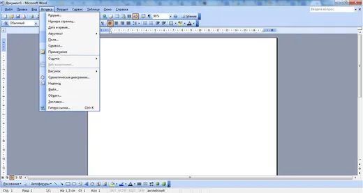 Word 2003