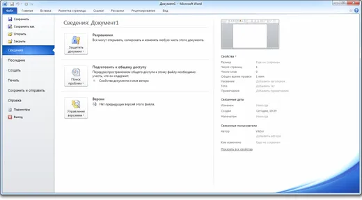 Word 2010